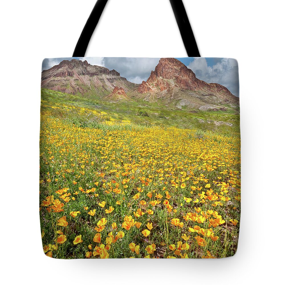 Arid Climate Tote Bag featuring the photograph Boundary Cone Butte by Jeff Goulden
