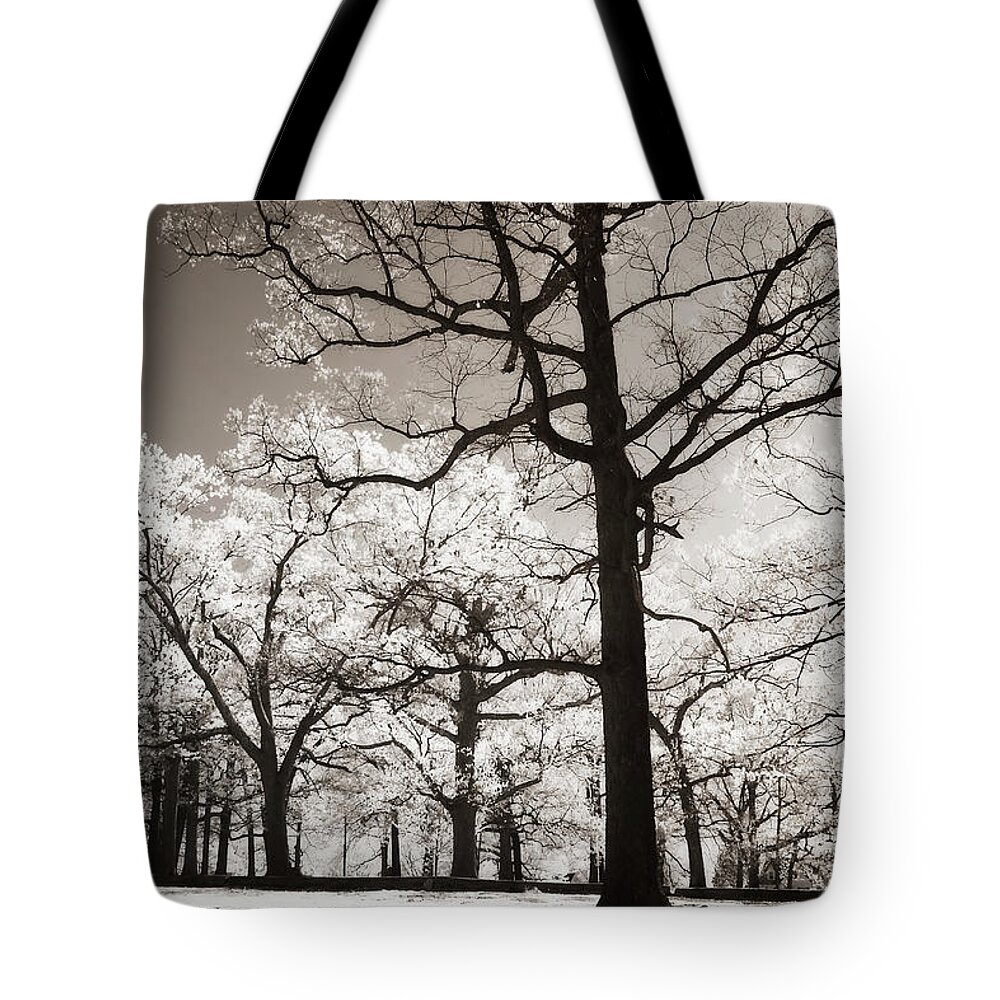 Photo Tote Bag featuring the photograph Bright Spring Day -2 #2 by Alan Hausenflock
