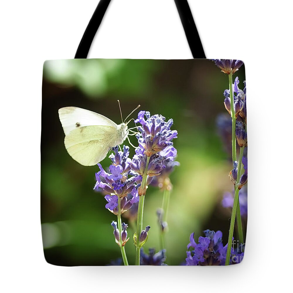 Macro Tote Bag featuring the photograph Butterfly #1 by Mariusz Talarek