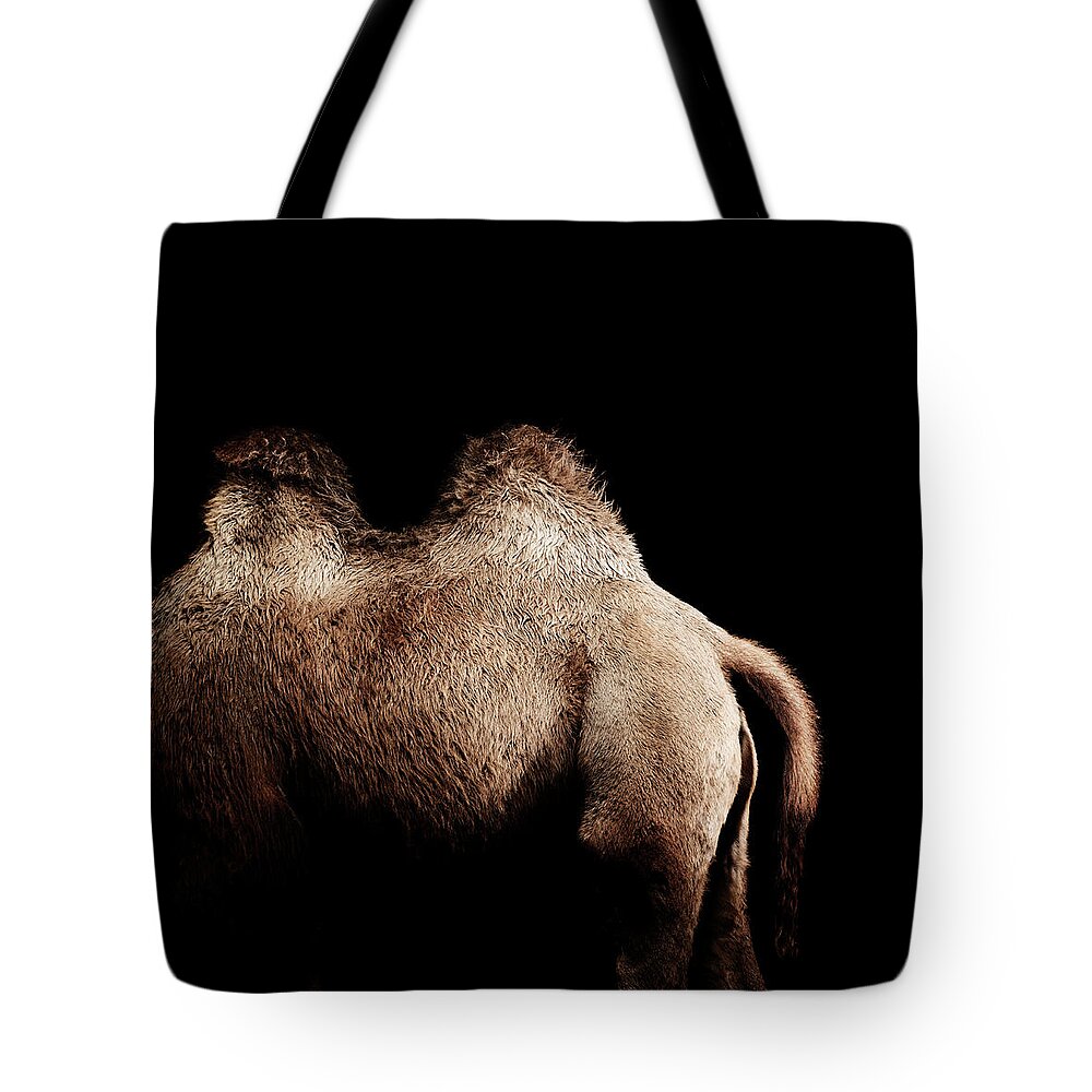 Majestic Tote Bag featuring the photograph Camel #1 by Henrik Sorensen