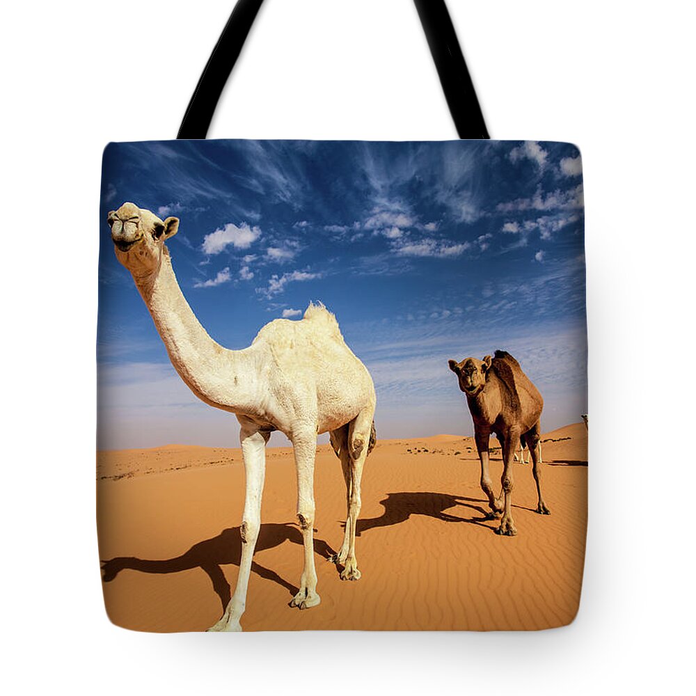 Working Animal Tote Bag featuring the photograph Camel In Dahnaa #1 by Sultanalsweed