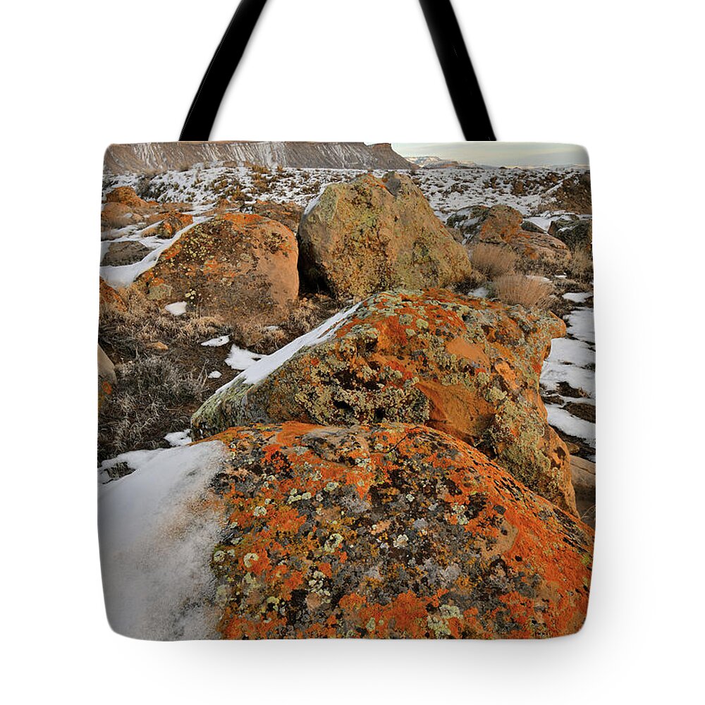 Book Cliffs Tote Bag featuring the photograph Colorful Boulders of the Book Cliffs #1 by Ray Mathis