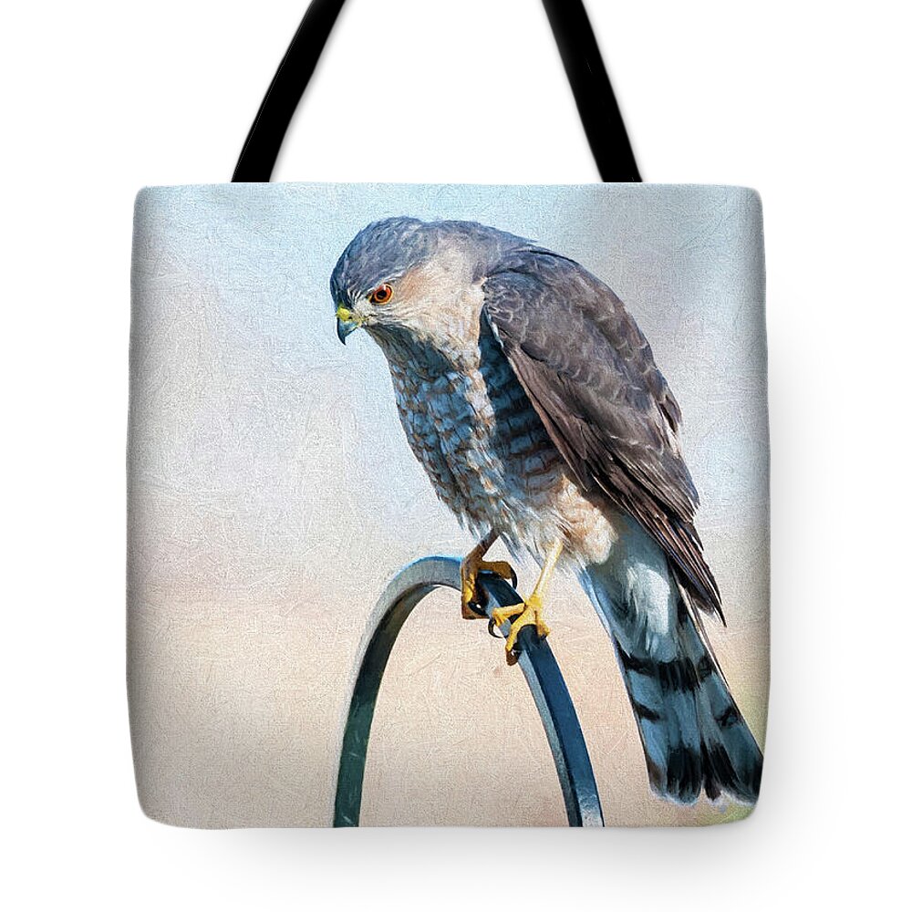 Raptor Tote Bag featuring the photograph Coopers Hawk by Cathy Kovarik
