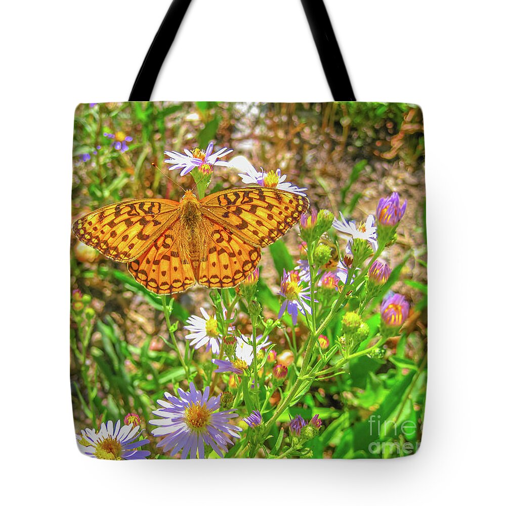 Butterfly Tote Bag featuring the photograph Coronis fritillary butterfly #1 by Benny Marty