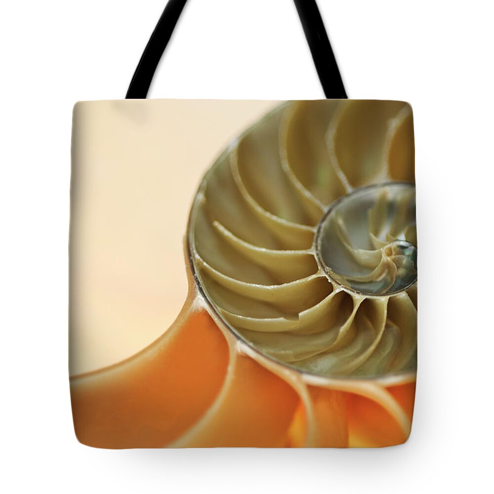 Natural Pattern Tote Bag featuring the photograph Cross Section Of A Nautilus Shell #1 by Mike Hill