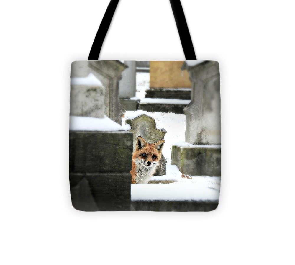 Curiosity Tote Bag featuring the photograph Curiosity #1 by Dark Whimsy