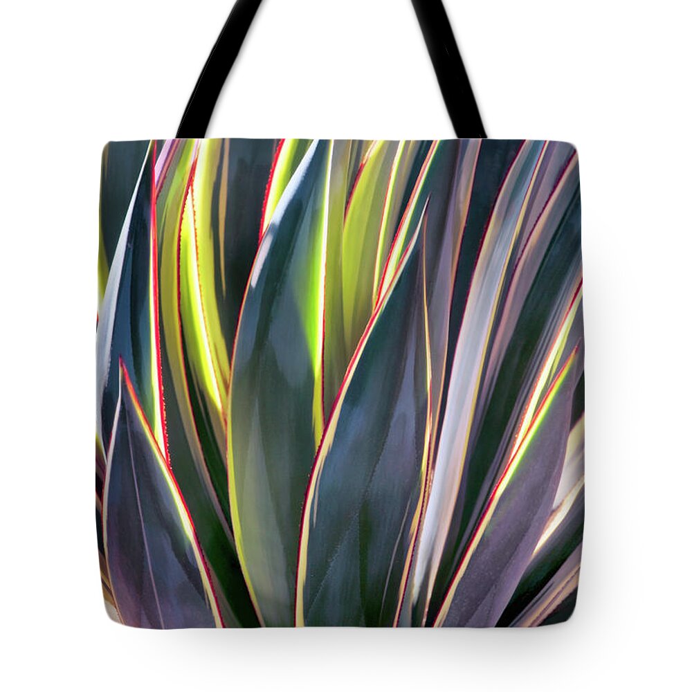 Agave Tote Bag featuring the photograph Edged in Light by Leda Robertson