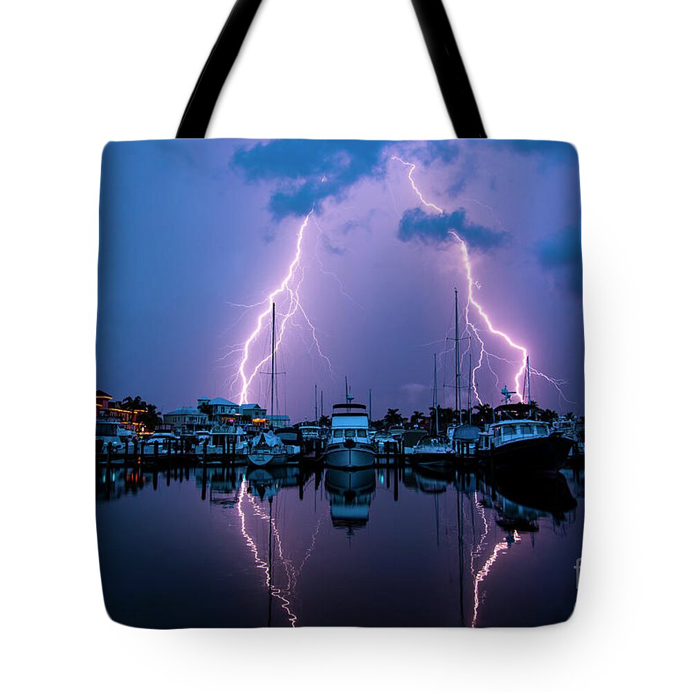 Lightning Tote Bag featuring the photograph Elegance #1 by Quinn Sedam