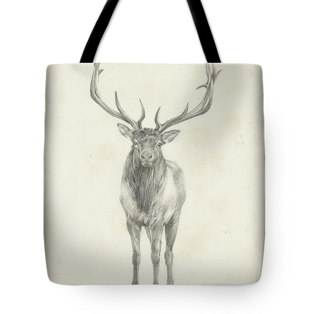 Animals Tote Bag featuring the painting Elk Study by Ethan Harper