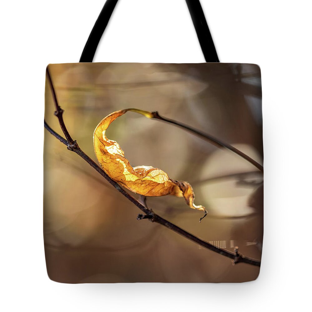 Fall Tote Bag featuring the photograph Nature Photography - Fall Leaves by Amelia Pearn