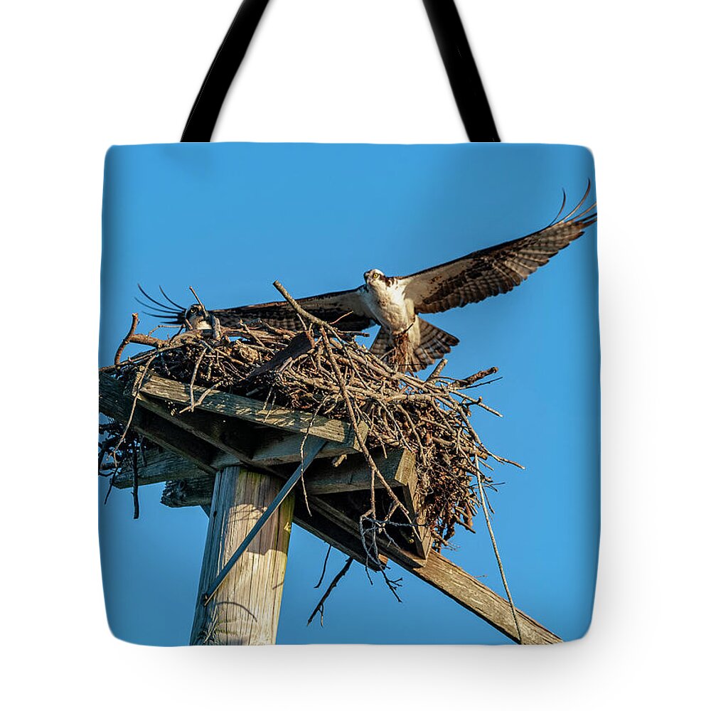 Osprey Tote Bag featuring the photograph Feathering The Nest by Cathy Kovarik
