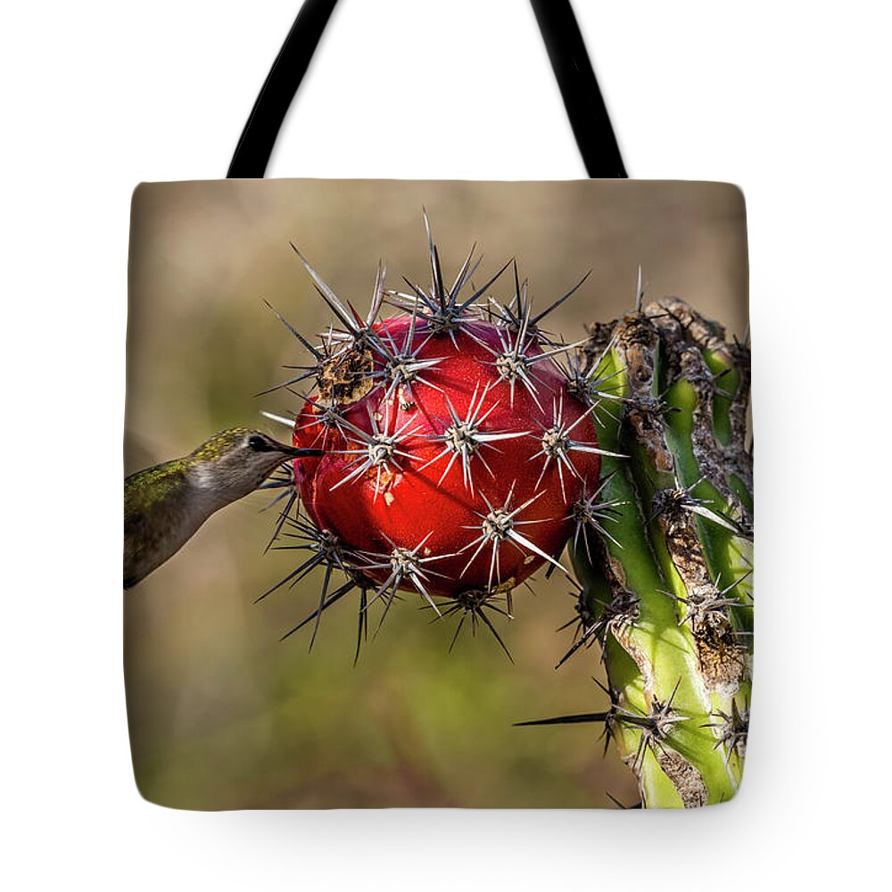 Calypte Costae Tote Bags