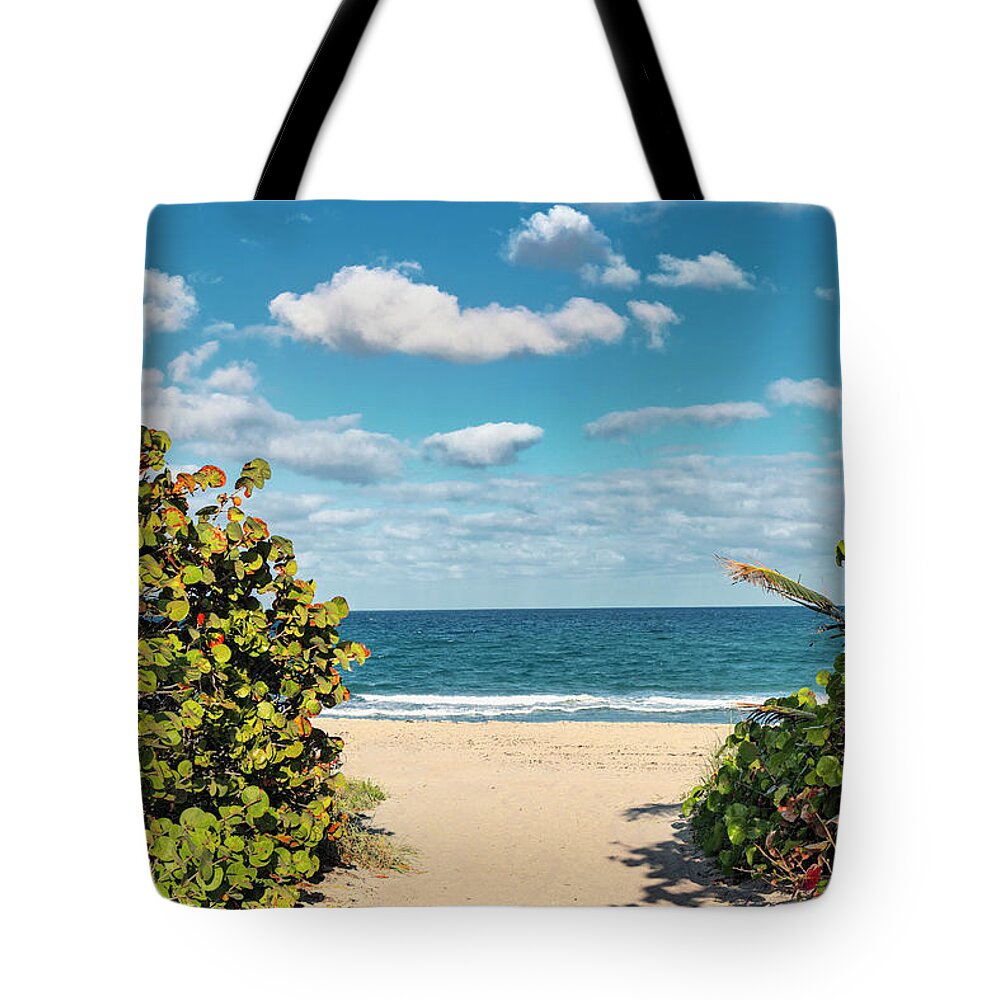Estock Tote Bag featuring the digital art Florida, Boca Raton, Red Reef Park, Walkway To The Beach #1 by Laura Diez