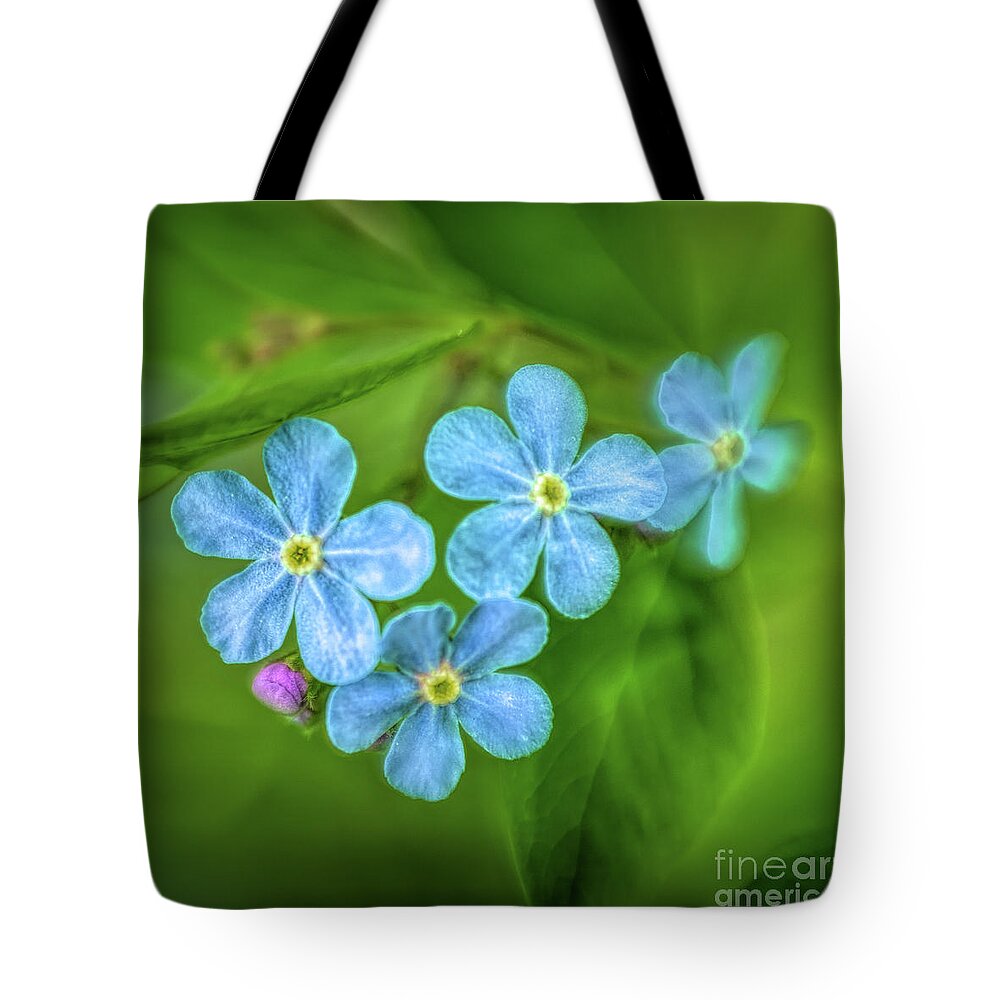 Wild Flower Tote Bag featuring the photograph Forget Me Not #1 by Roxie Crouch