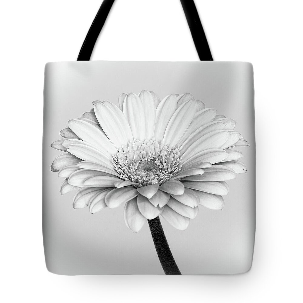 B&w Tote Bag featuring the photograph Gerbera #1 by Tanya C Smith
