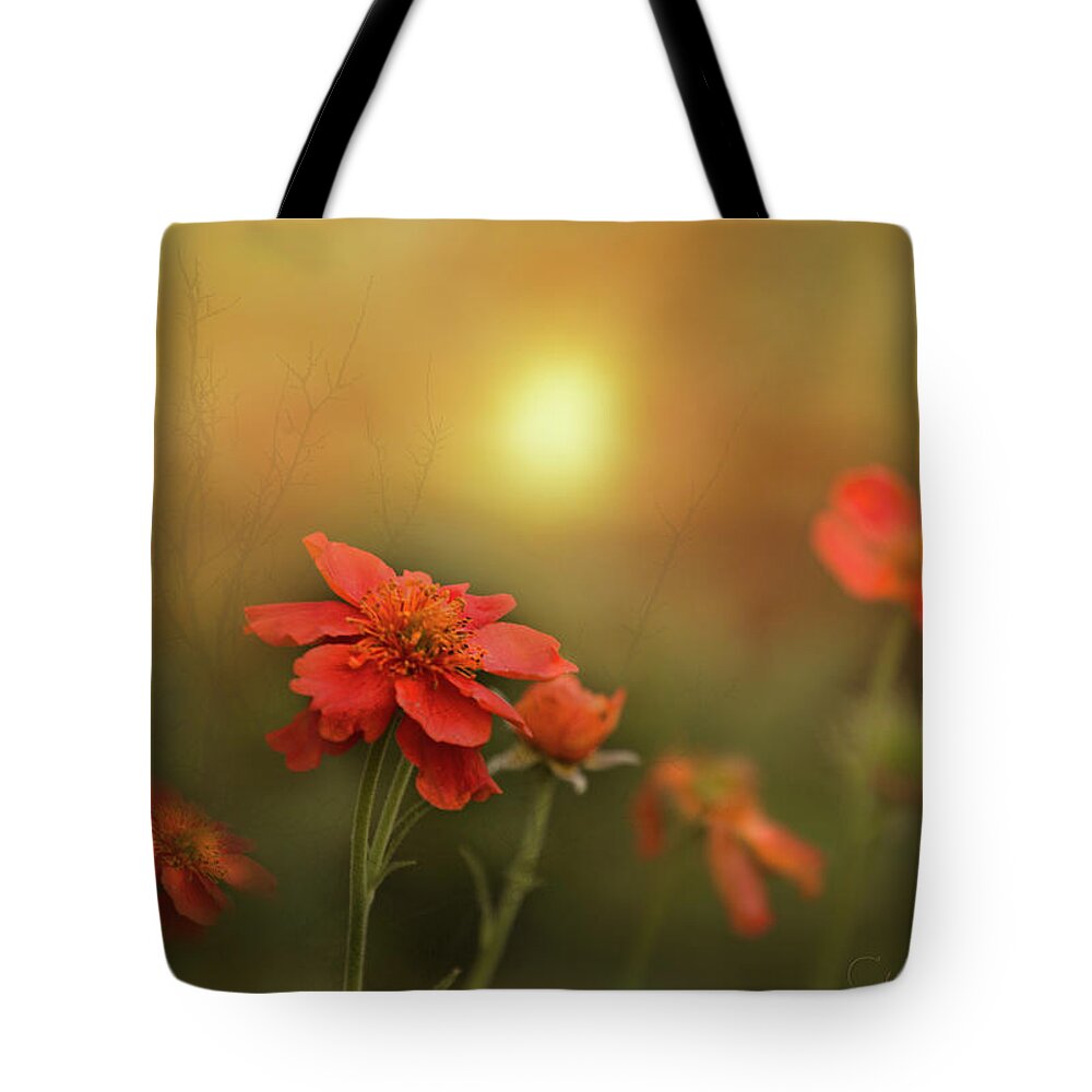  Tote Bag featuring the photograph Geums sing morning #1 by Cybele Moon