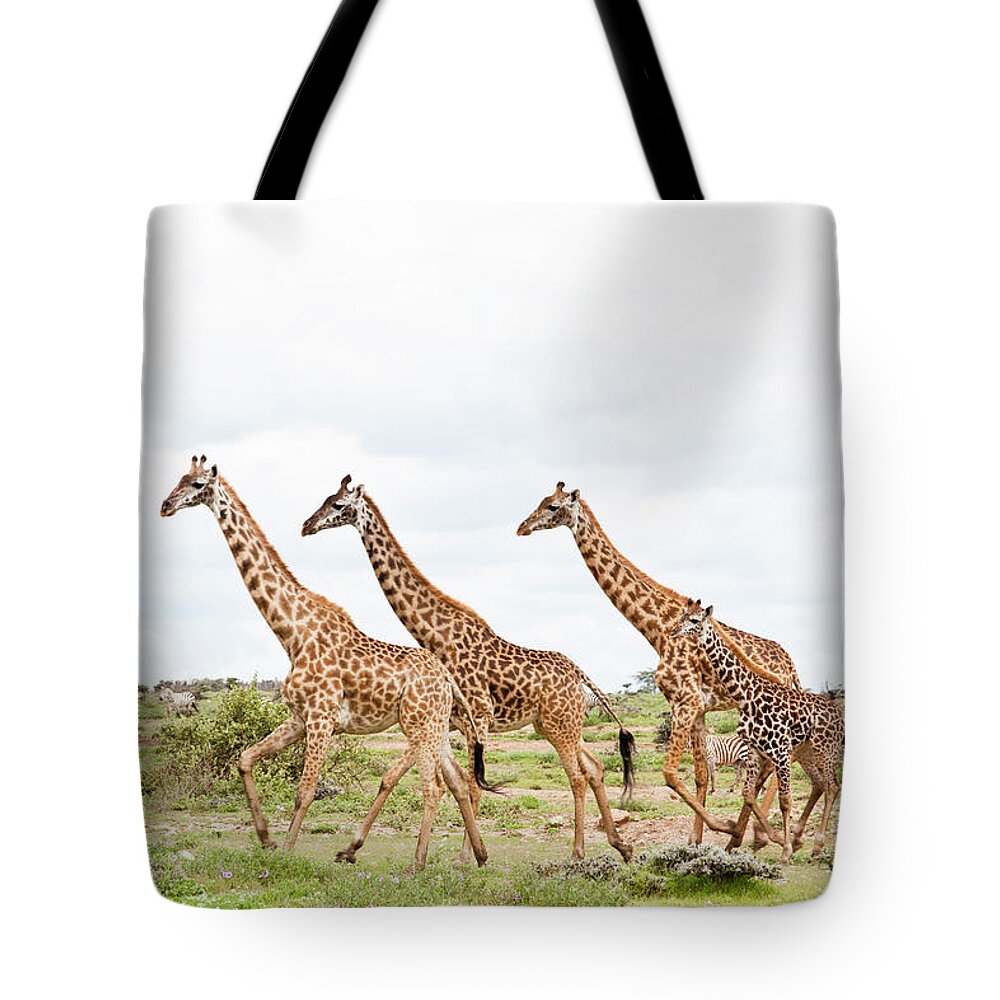 Eco Tourism Tote Bag featuring the photograph Giraffes Are Running #1 by 1001slide