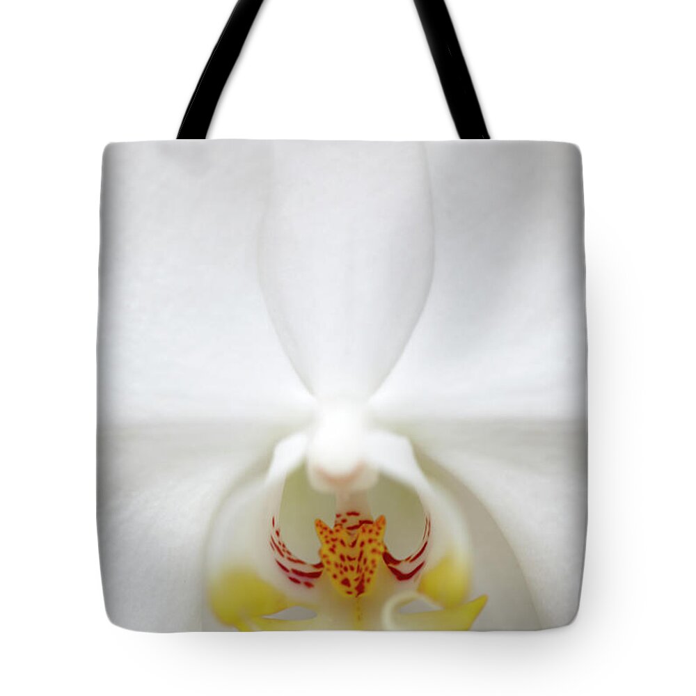 Environmental Conservation Tote Bag featuring the photograph Gorgeous White Orchid Flower #1 by Dana Hoff
