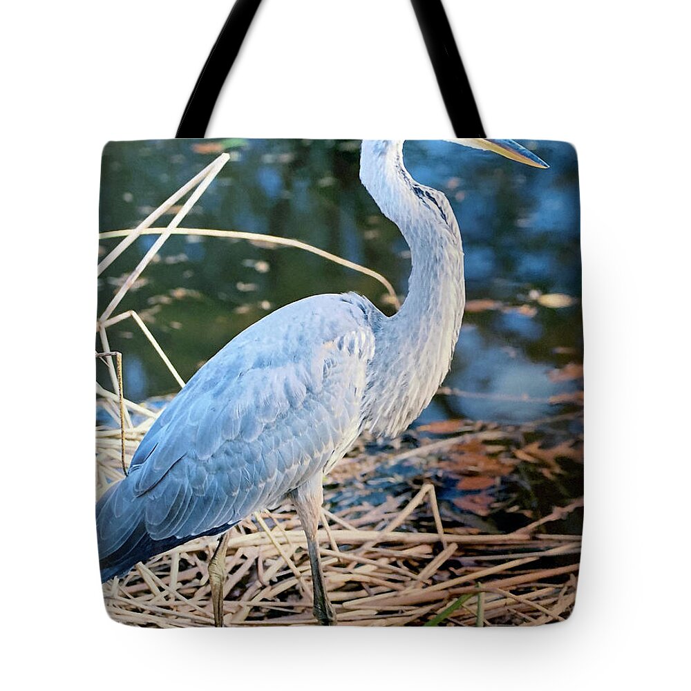 Great Blue Heron Tote Bag featuring the digital art Great Blue Heron #1 by Don Wright