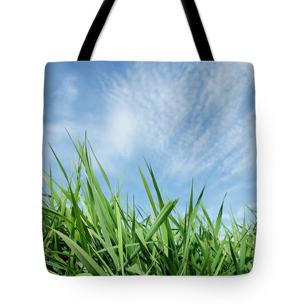 Grass Tote Bag featuring the photograph Green Grass Against Blue Sky #1 by Steven Puetzer
