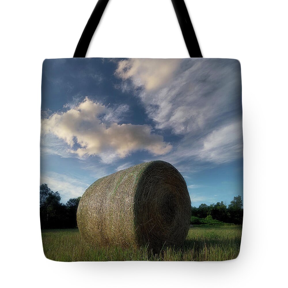 Bale Tote Bags