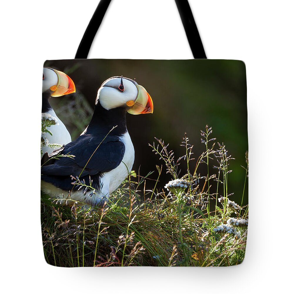 Horned Puffin Tote Bag featuring the photograph Horned Puffins, Lake Clark National #1 by Mint Images/ Art Wolfe