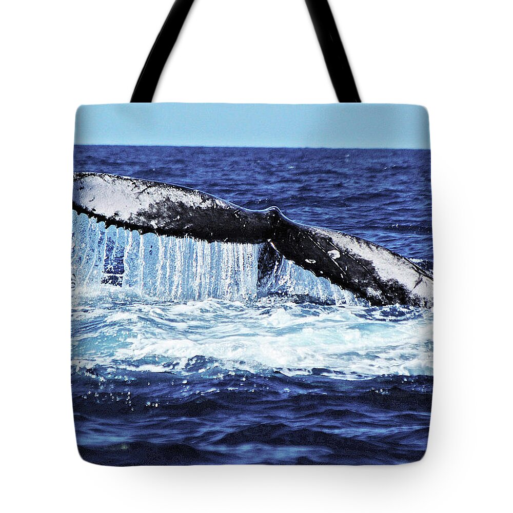 Animal Themes Tote Bag featuring the photograph Humpback Whale Tail Slapping #1 by Sallyrango
