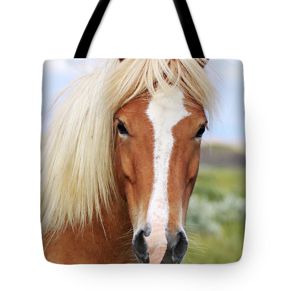 Horse Tote Bag featuring the photograph Icelandic Horse #1 by Gigja Einarsdottir