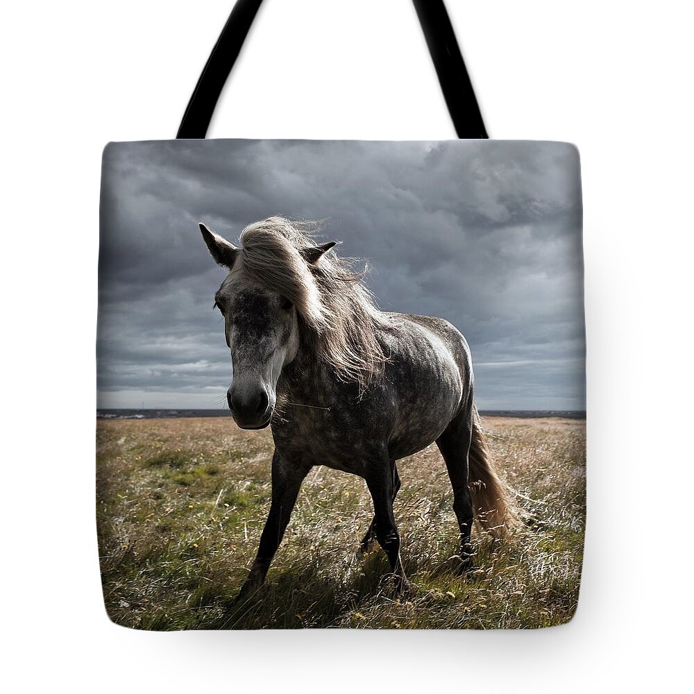 Horse Tote Bag featuring the photograph Icelandic Horse #1 by Johann S. Karlsson