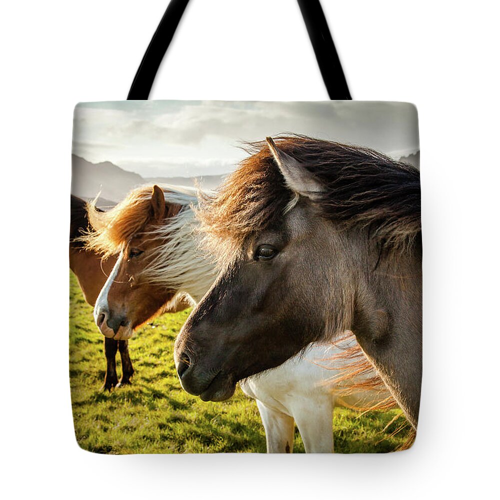 Iceland Tote Bag featuring the photograph Icelandic Horses #1 by Peter OReilly
