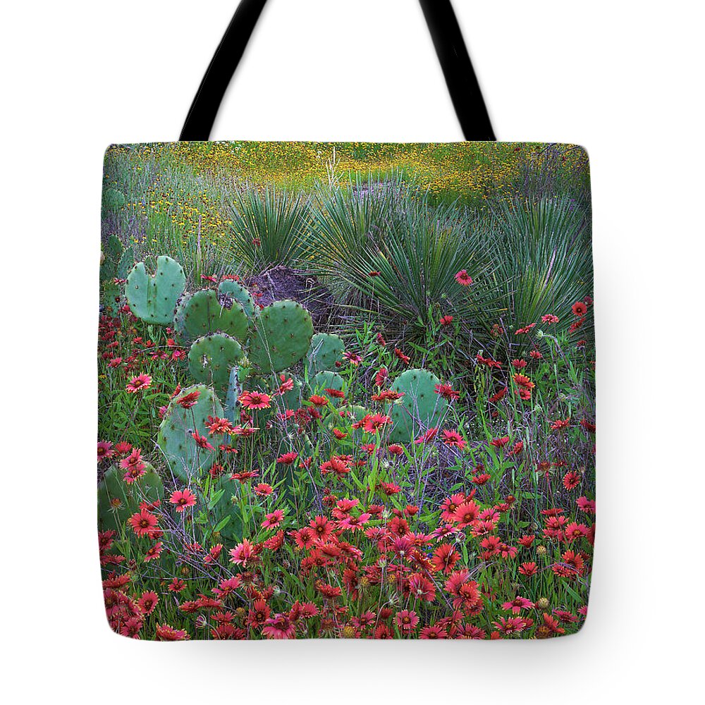 00567595 Tote Bag featuring the photograph Indian Blanket Flowers And Opuntia, Inks Lake State Park, Texas #1 by Tim Fitzharris