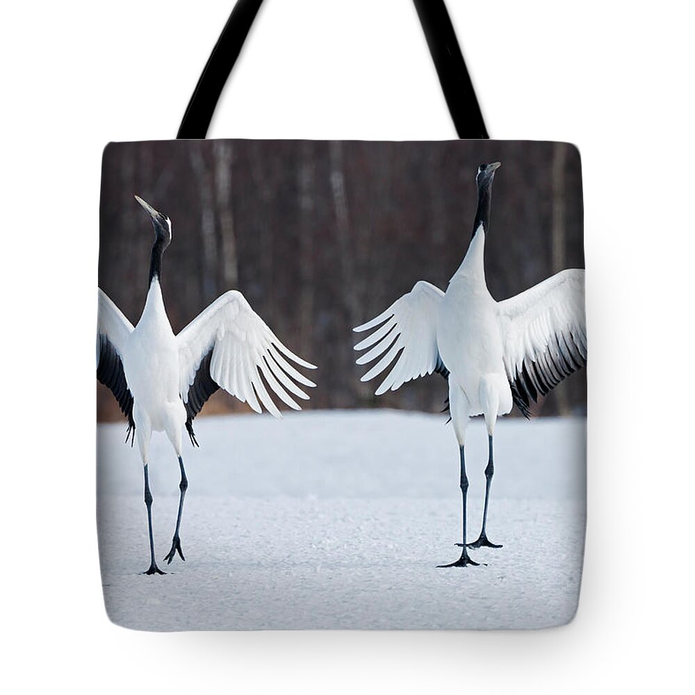 Hokkaido Tote Bag featuring the photograph Japanese Cranes Standing Upright #1 by Mint Images - Art Wolfe