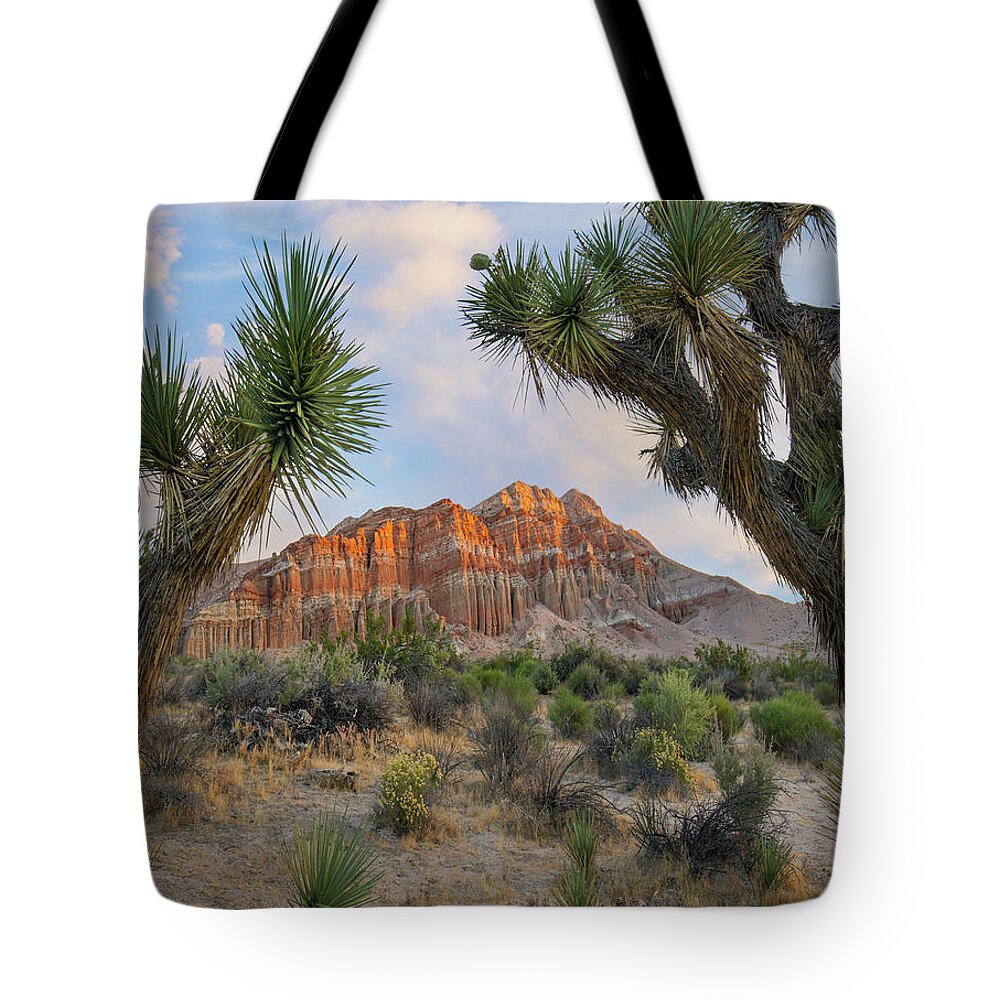 00571642 Tote Bag featuring the photograph Joshua Tree And Cliffs, Red Rock Canyon State Park, California by Tim Fitzharris