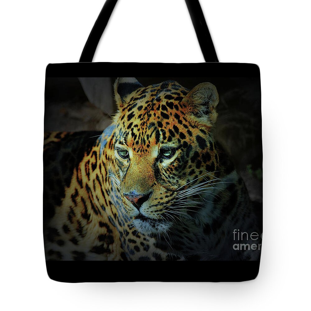 Whiskers Tote Bag featuring the photograph Leopard by Savannah Gibbs