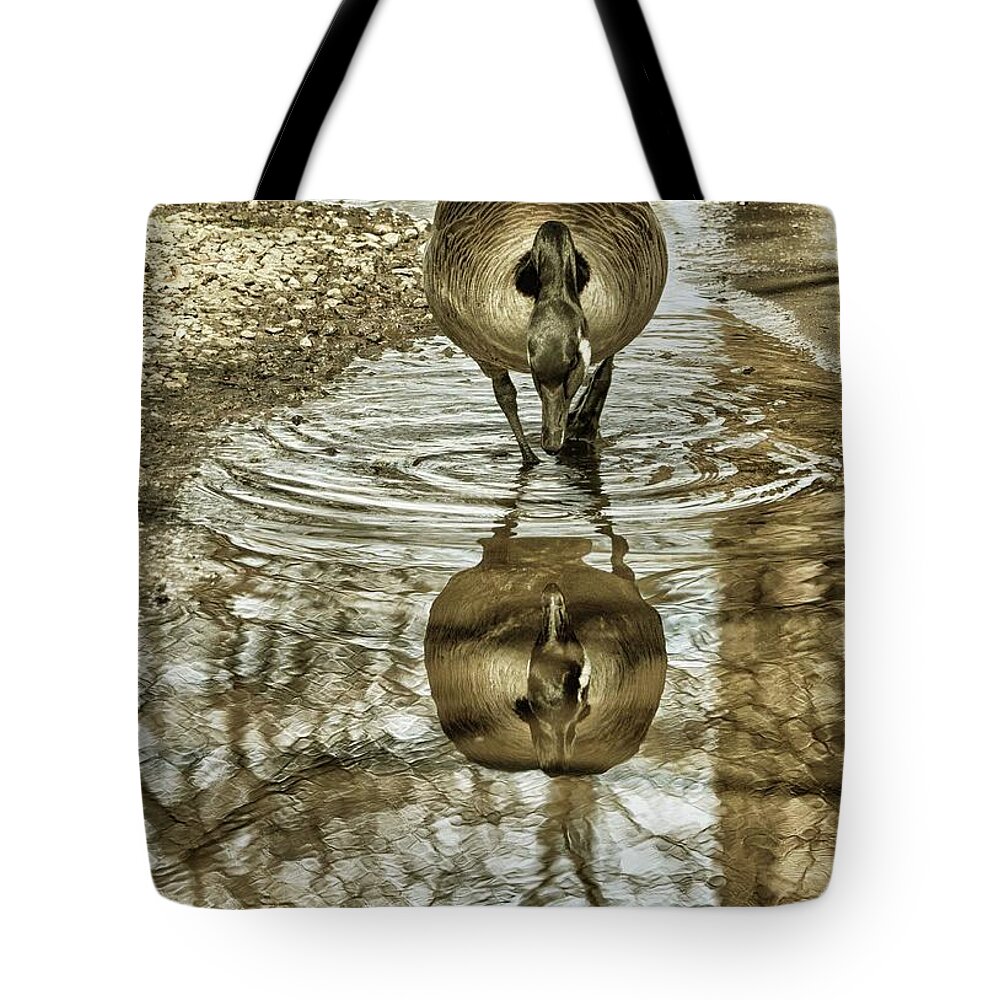 Geese Tote Bag featuring the photograph Mirror Mirror by Cate Franklyn