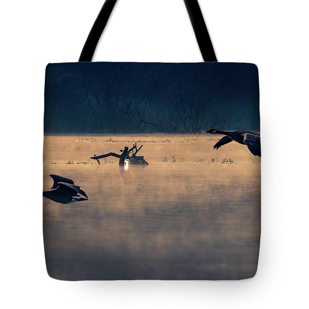 Geese Tote Bag featuring the photograph Morning Flight #1 by Allin Sorenson