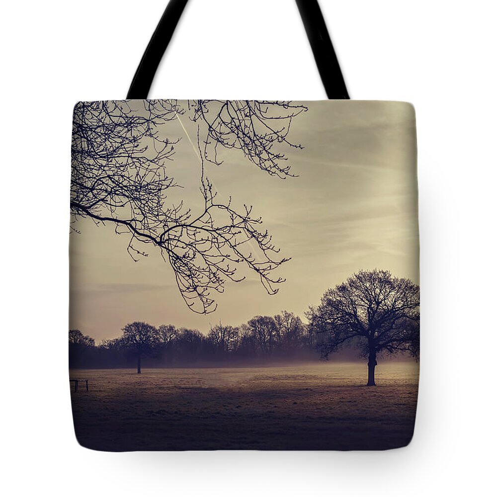 Landscape Tote Bag featuring the photograph Morning Haze #1 by Svetlana Sewell