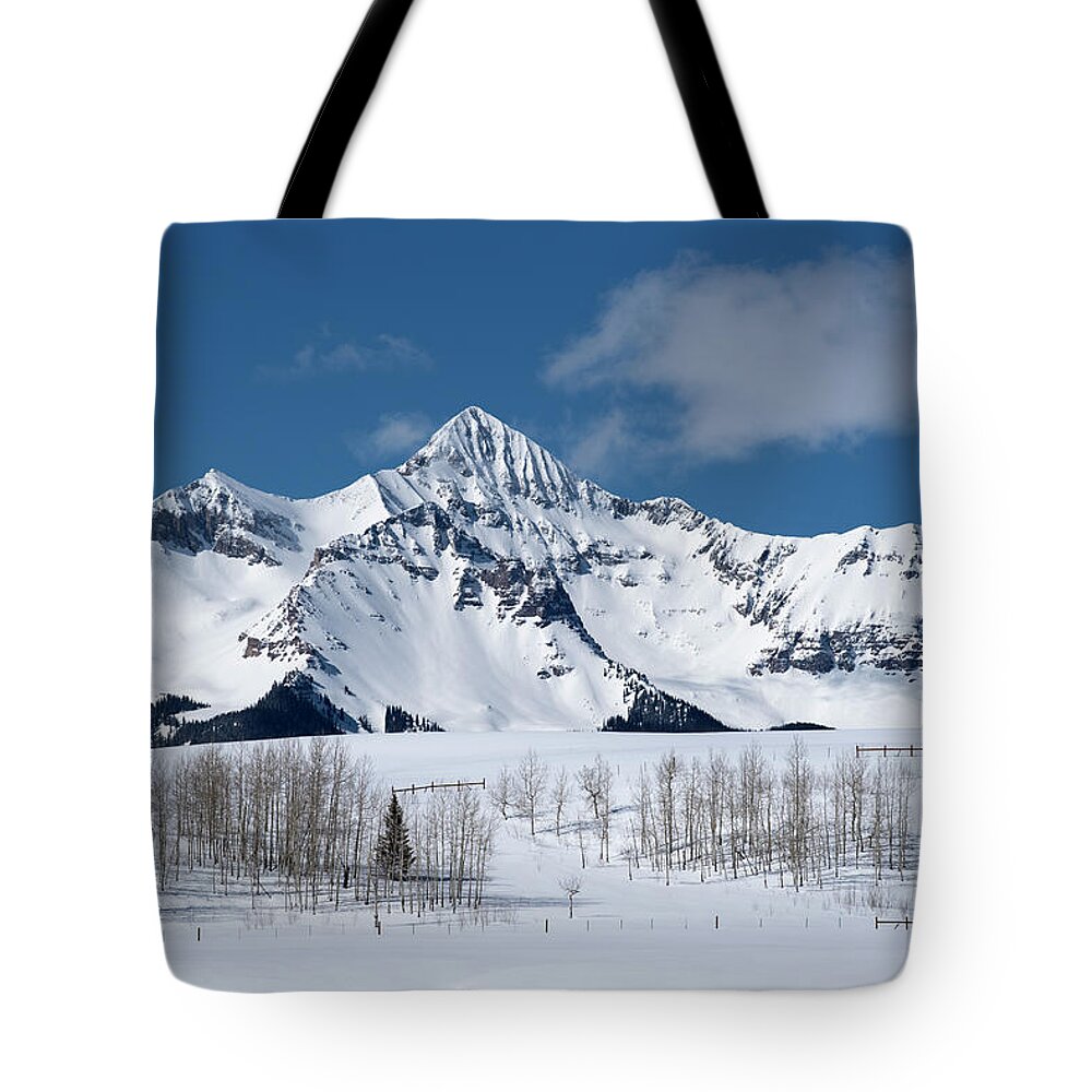 Mt. Wilson Tote Bag featuring the photograph Mt Wilson #1 by Angela Moyer