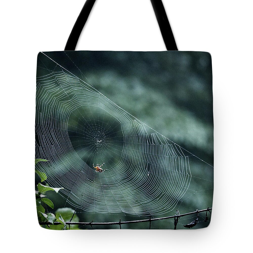 Animal Tote Bag featuring the photograph My Web #1 by Paul Ross