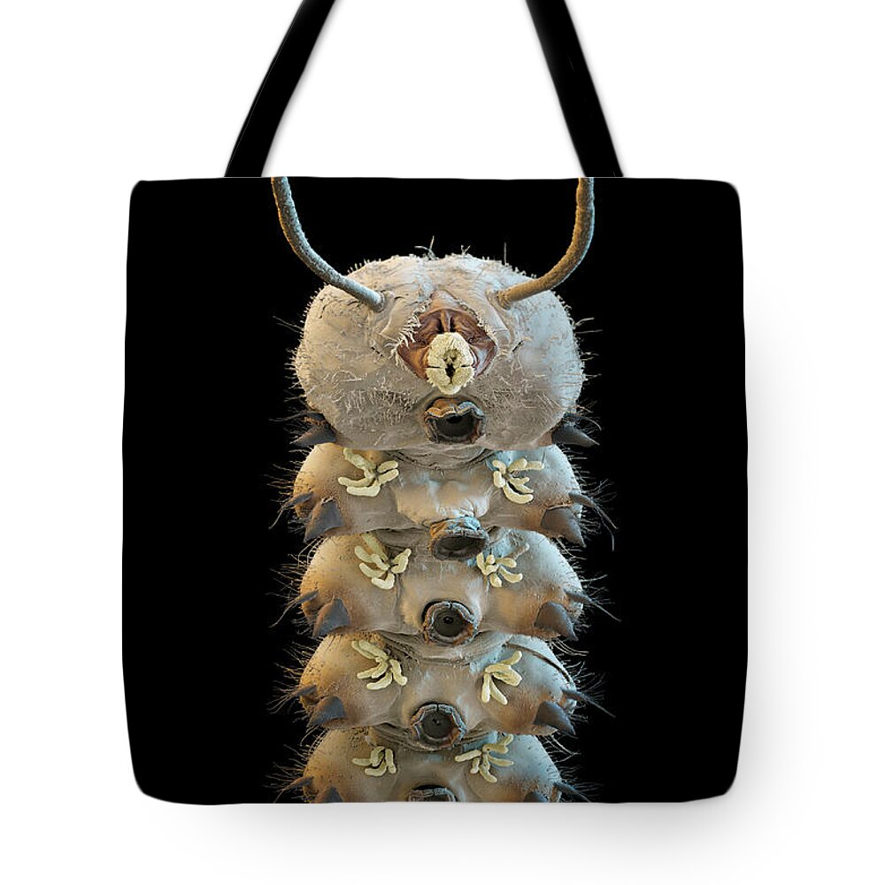 Animal Sem Tote Bag featuring the photograph Net-winged Midge Larva, Sem #1 by Eye Of Science