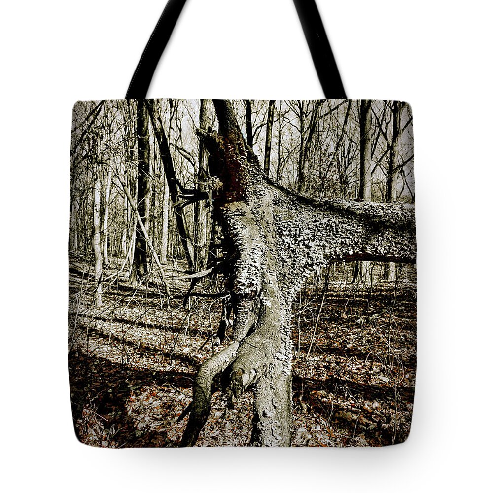 Estock Tote Bag featuring the digital art New York City, Queens, Alley Pond Park, Tree Roots. #1 by Lumiere