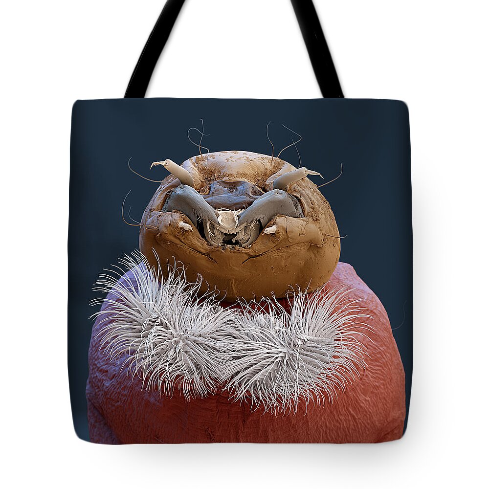 Animal Tote Bag featuring the photograph Nonbiting Midge, Chironomidae Sp., Sem by Eye of Science