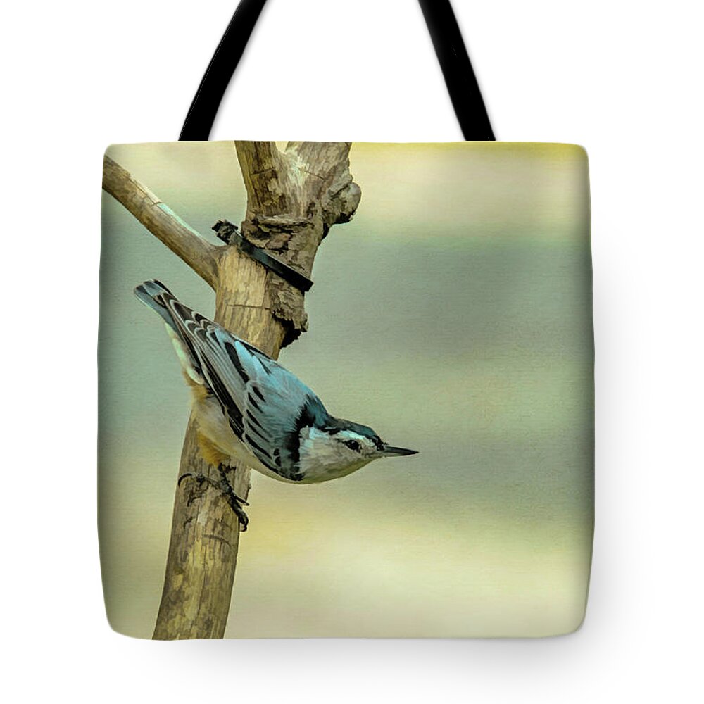 Songbird Tote Bag featuring the photograph Nuthatch by Cathy Kovarik