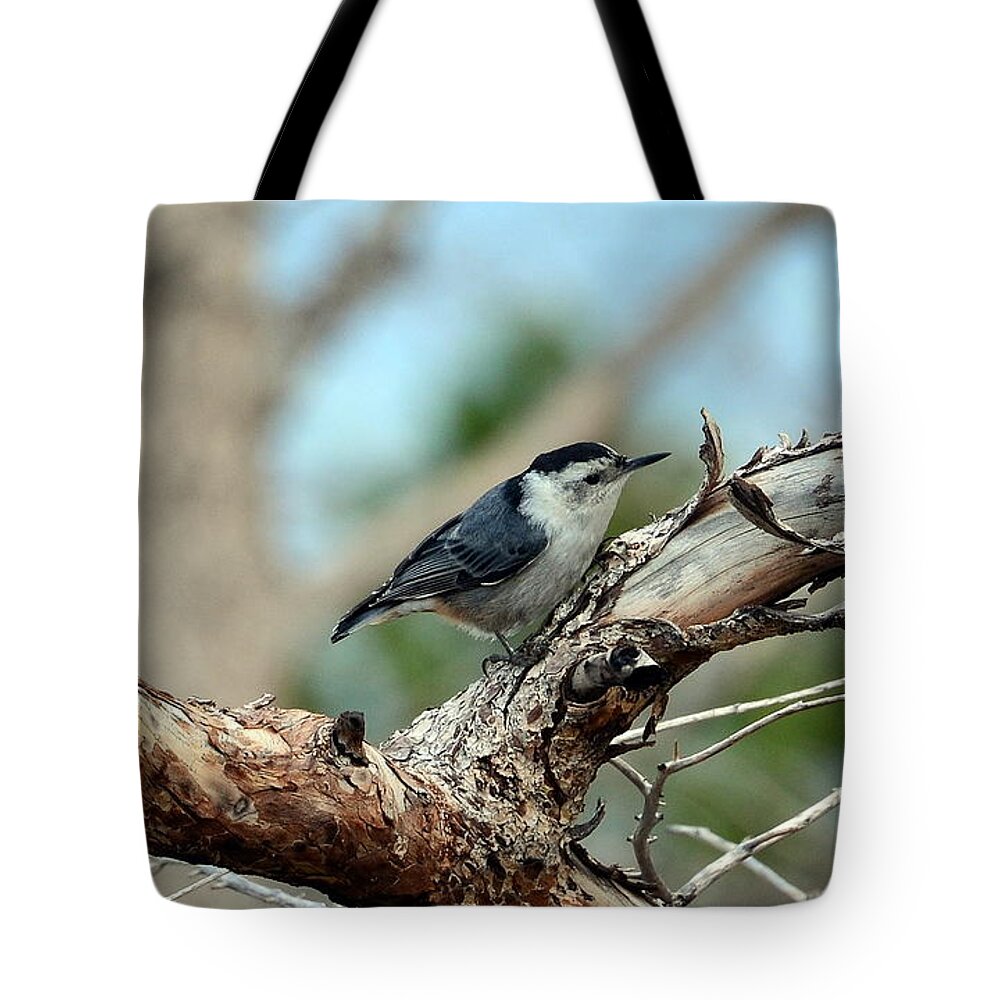Birds Tote Bag featuring the photograph Nuthatch by Dorrene BrownButterfield