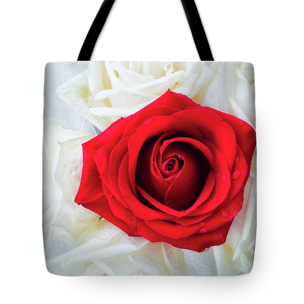 Rose Tote Bag featuring the photograph One Red Rose #1 by Jade Moon