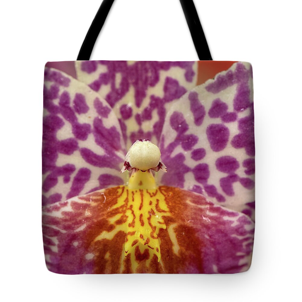 Flower Tote Bag featuring the photograph Orchid by Minnie Gallman