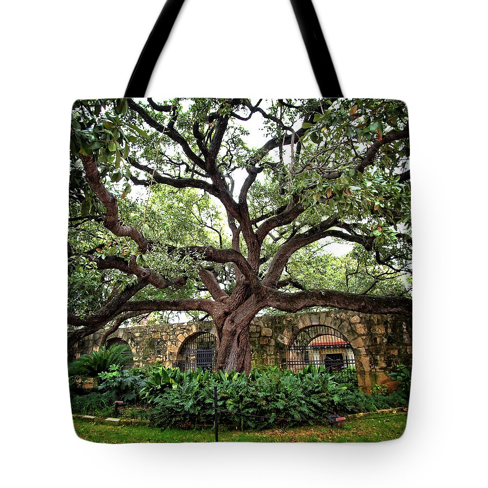 Alamo Tote Bag featuring the photograph Outside the Alamo #1 by George Taylor
