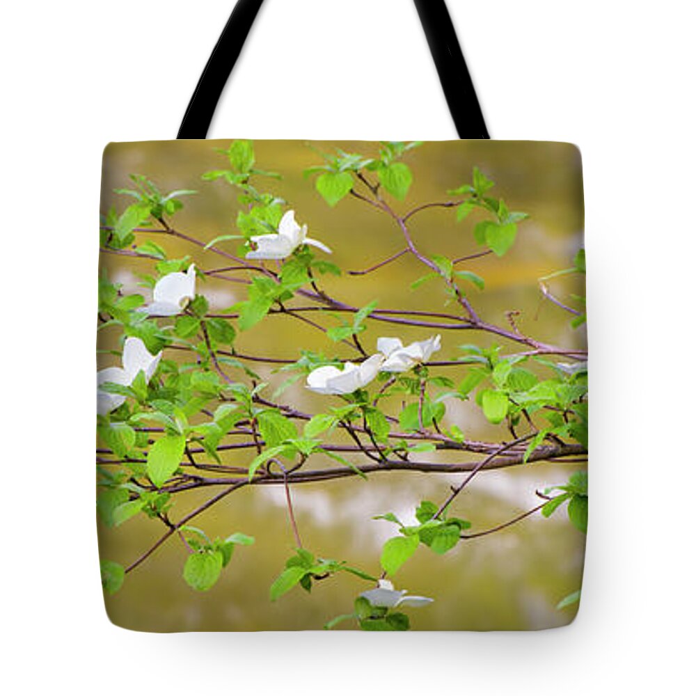 Photography Tote Bag featuring the photograph Pacific Dogwood Cornus Nuttallii #1 by Panoramic Images