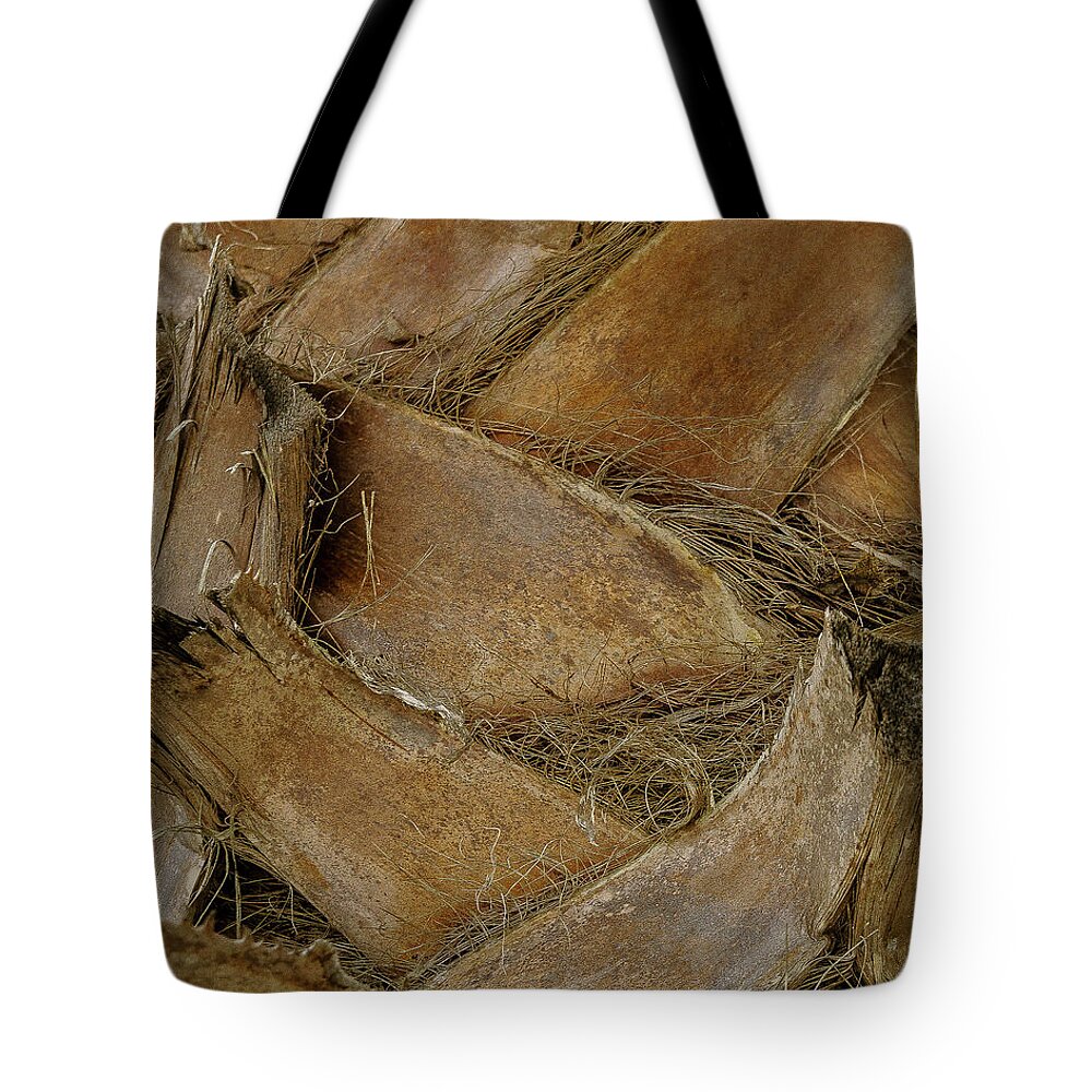 Texturas Tote Bag featuring the photograph Palm #1 by Silvia Marcoschamer
