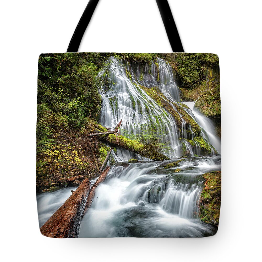 Falls Tote Bag featuring the photograph Panther Creek Falls #1 by Alex Mironyuk